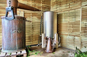 L' atelier de distillation Intimu