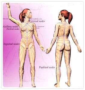 Charte de massage lymphatique