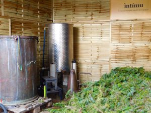 Distillation chez Intimu, Cap Corse. Plan d'accès Intimu.