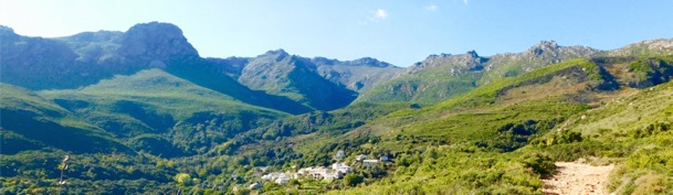 Intimu, producteurs d' huiles essentielles au Cap Corse