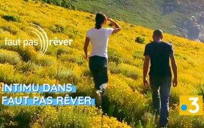 Comment Intimu réussi à faire rayonner « l’âme corse », dans Faut pas rêver sur France 3