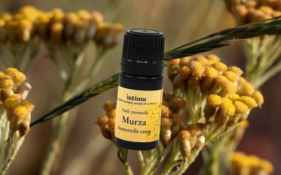 Bienfaits de l’huile essentielle d’immortelle, comment bien l’utiliser.