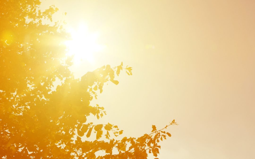 Comment bien adapter votre routine visage au soleil et à l’été ?