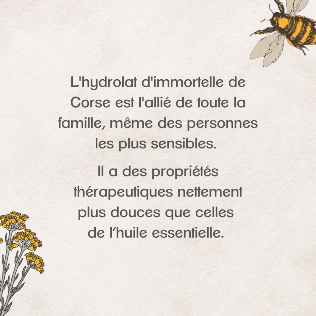 Comment utiliser l'immortelle sous sa forme la plus douce, l’hydrolat ?