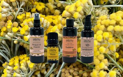 Comment bien utiliser l’immortelle de Corse au quotidien ?