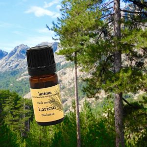 L’huile essentielle de pin Laricio chez Intimu