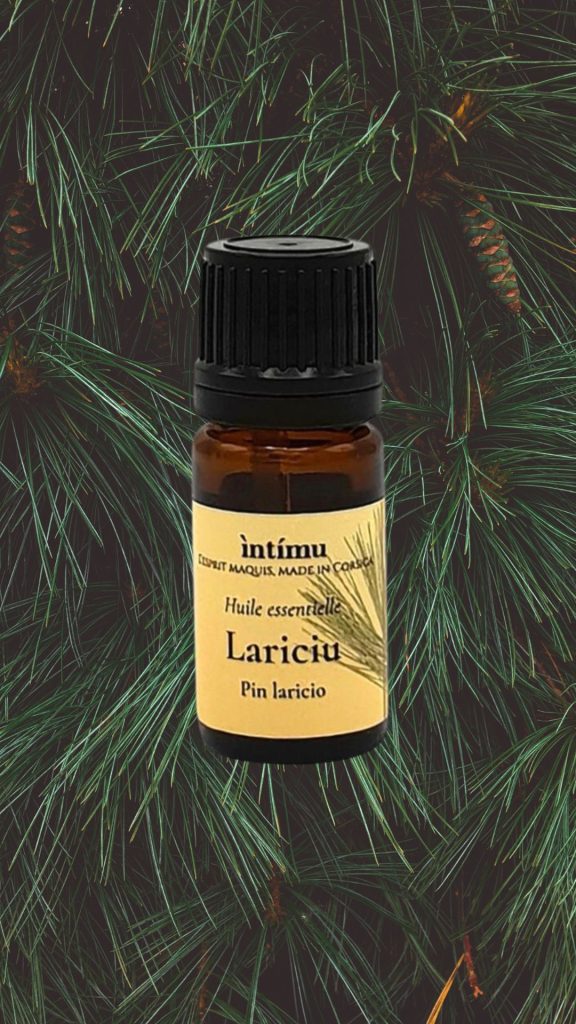 huile essentielle pin laricio