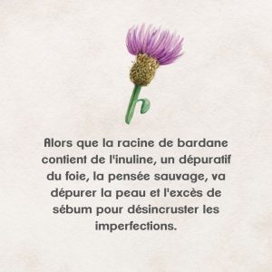 entreprendre une detox en interne contre l'acné