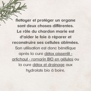 réparer votre foie après une cure détox contre l'acné