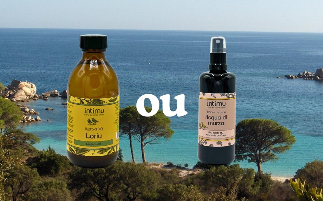 Hydrolat ou eau florale : différences, propriétés et utilisations