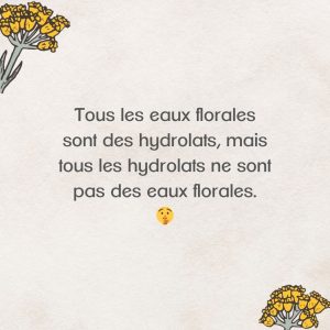 Hydrolat ou eau florale quelle différence ?