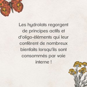 L'hydrolat en aromathérapie
