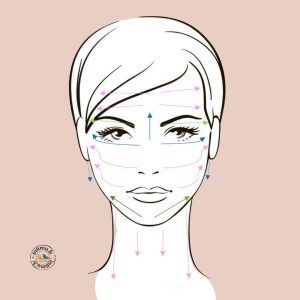 shéma du drainage lymphatique du visage