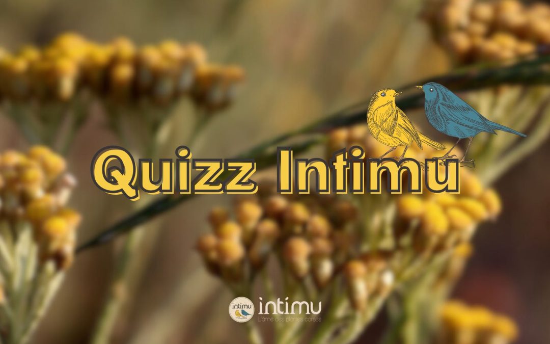 Réponses au Quiz Intimu !