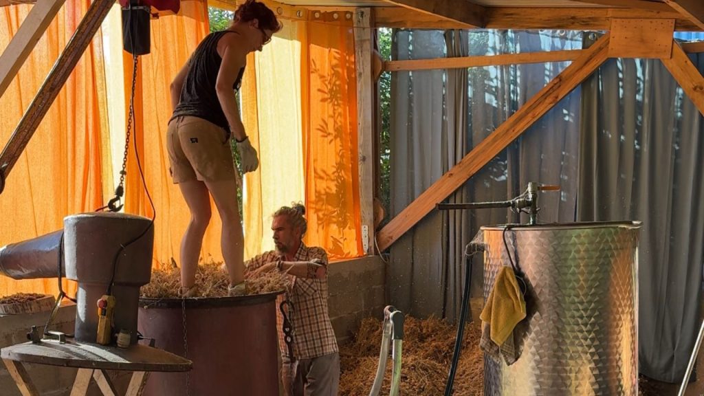Hélène et Laurent tassent les fleurs d'immortelle dans l'alambic avant la distillation au Cap Corse.