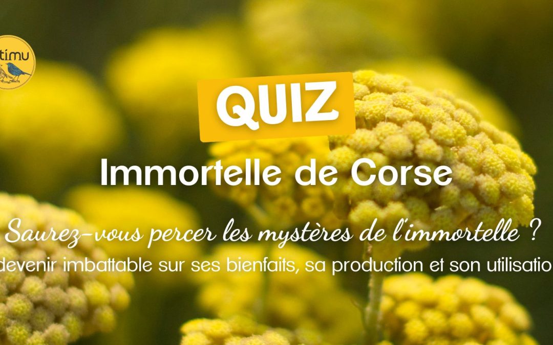 Immortelle de Corse : le quiz pour percer ses secrets