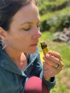 olfaction-huile-essentielle-immortelle.