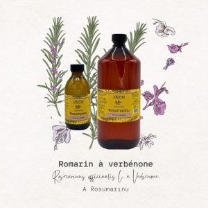 romarin à verbénone cap corse