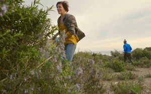 cueillette romarin à verbénone Cap Corse maquis vent marin