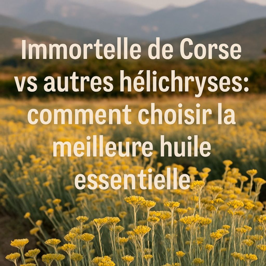Visuel illustratif immortelle de Corse avec texte comparatif hélichryse