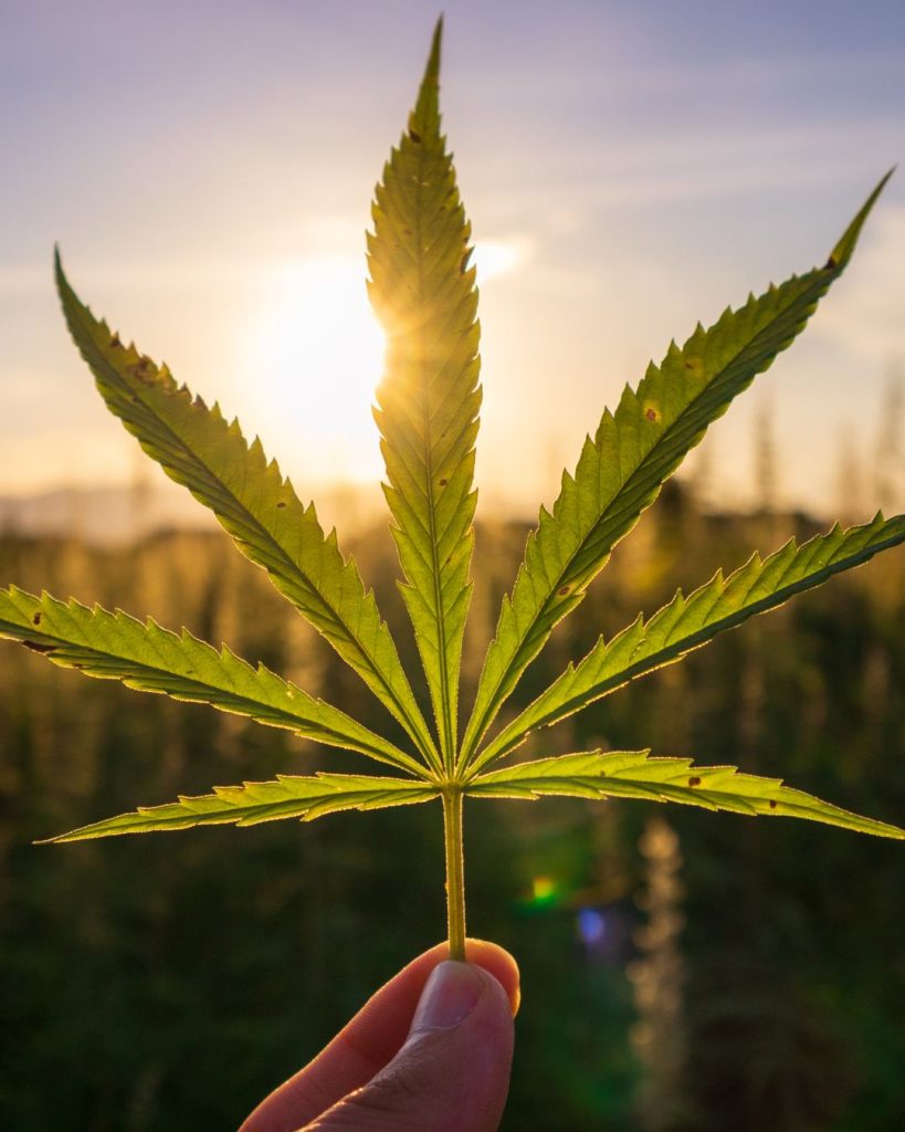 Des huiles végétales pour créer des soins sans eau mieux qu'une crème