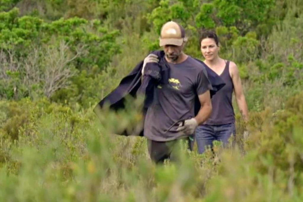 Laurent et Hélène dans le maquis du Cap Corse avec un drap de cueillette, récolte sauvage de plantes aromatiques.