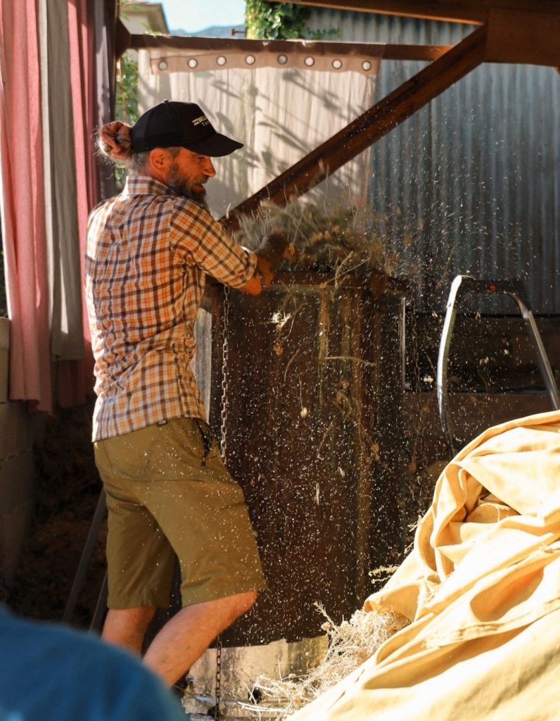 distillation d'immortelle en Corse