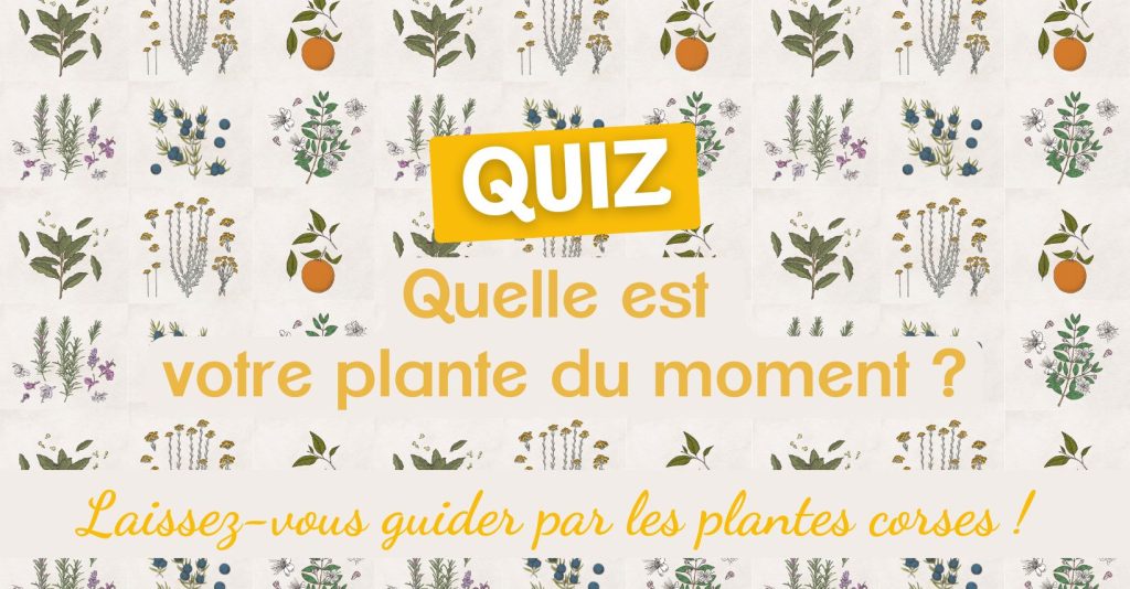 quiz quelle est votre plante du moment, l'âme des plantes corses