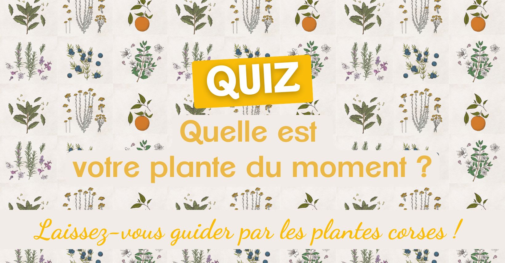 intimu.fr_quiz-plante-accompagner quiz quelle est votre plante du moment, l'âme des plantes corses