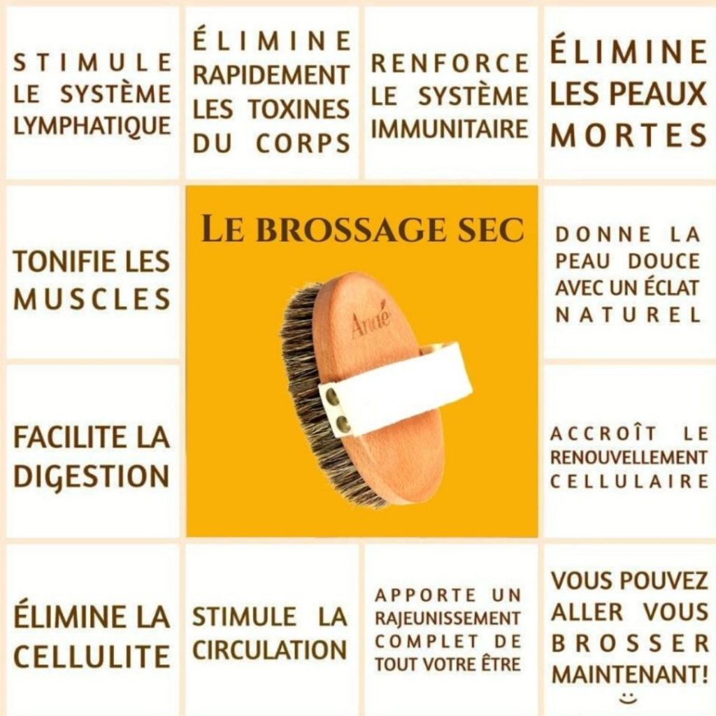 brossage à sec et huile circulatoire Exigeante au printemps