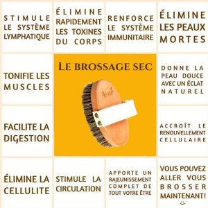 brossage à sec et huile circulatoire Exigeante au printemps