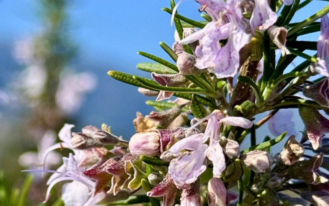 Printemps : relancer le corps, réveiller la peau