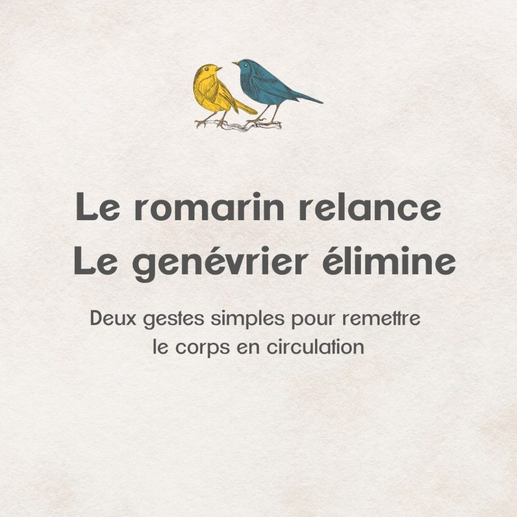 atelier printemps Intimu peau énergie hydrolats