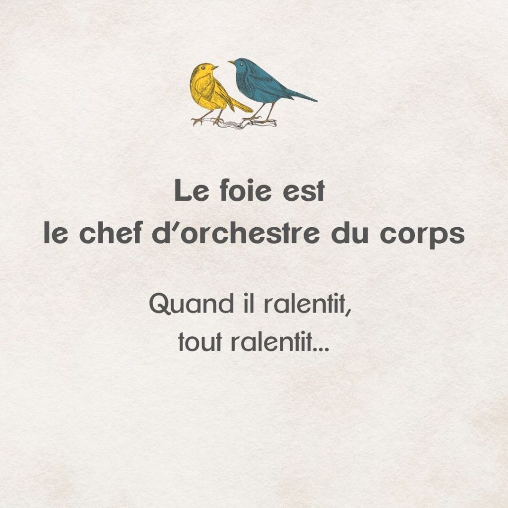Soutenir le foie au printemps est primordial