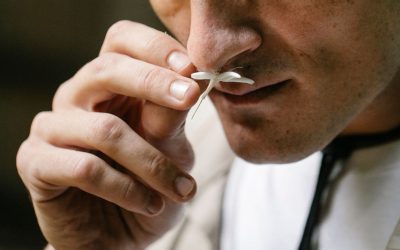 Olfaction et émotions : le pouvoir intime des odeurs
