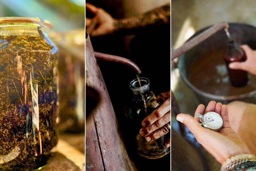 Différences entre macérat, huile essentielle et eau florale d’immortelle
