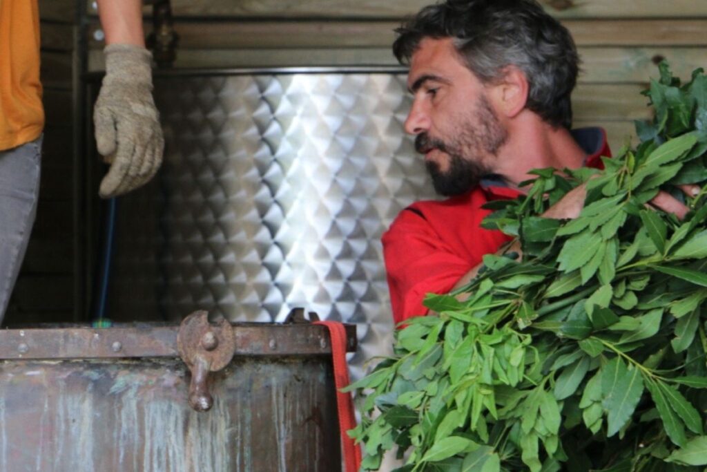 Hélène et Laurent, producteurs et distillateurs d'hydrolats BIO dans leur atelier Intimu au Cap Corse.